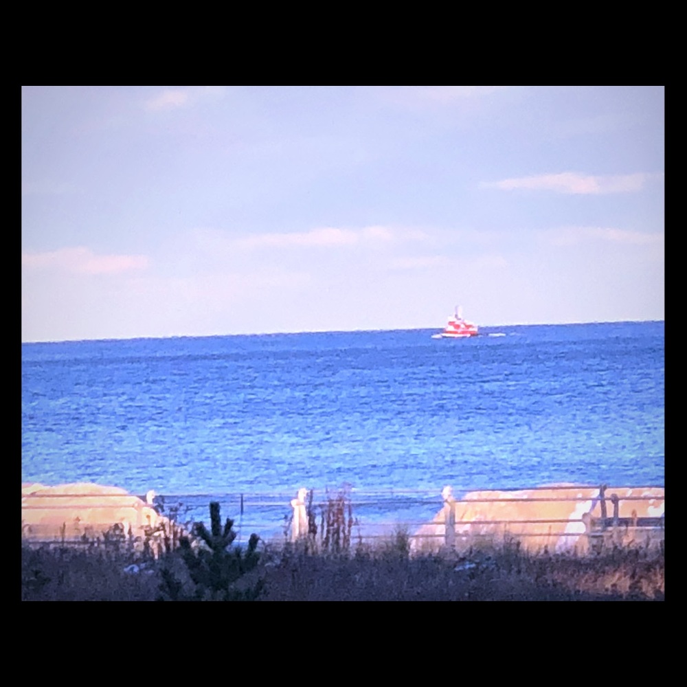 Meet your Posher, Sue